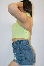 Palmer Top