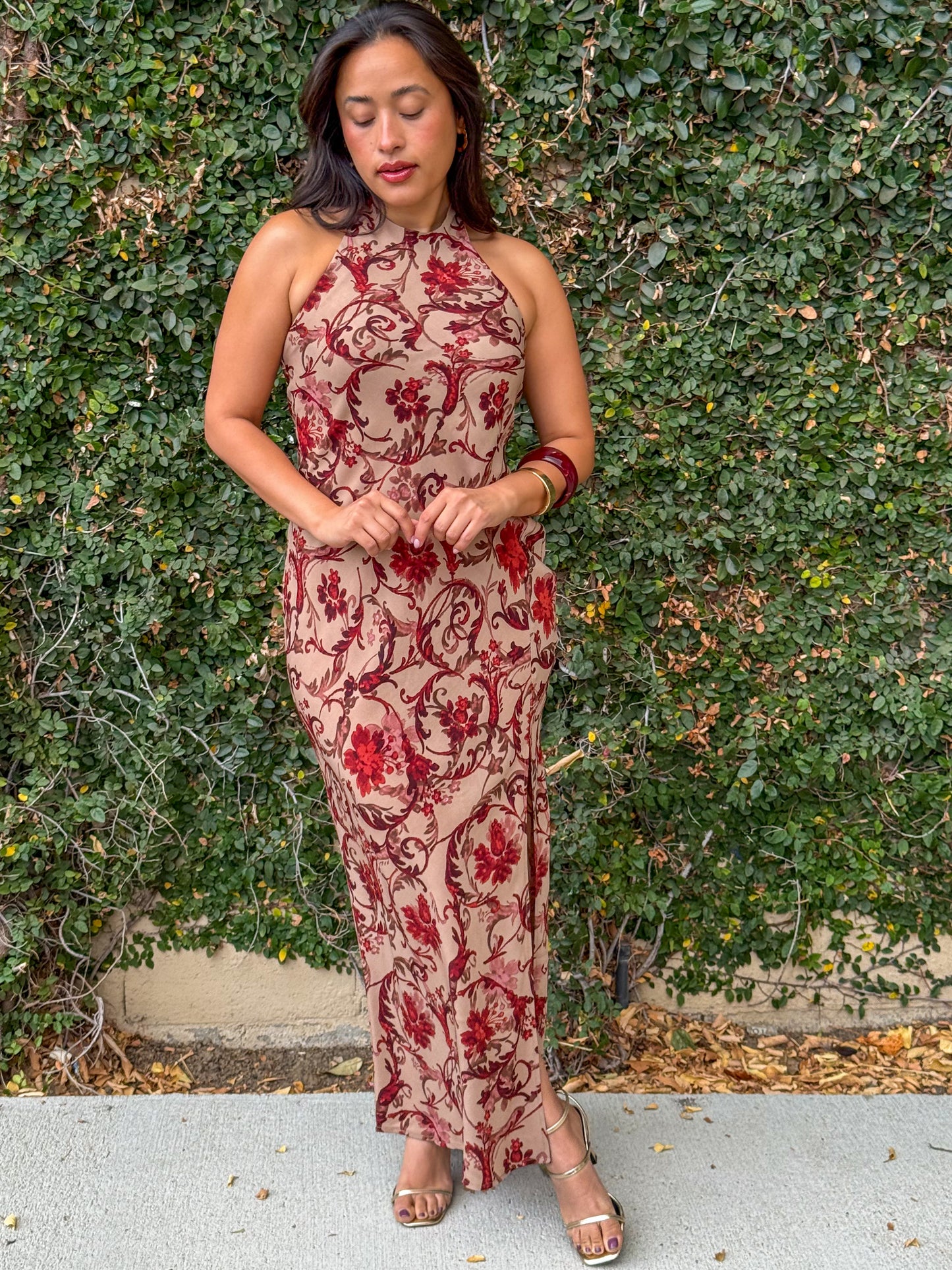 Soft Sepia Dress